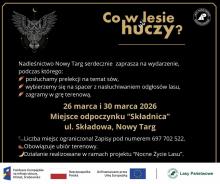 Co w lesie huczy? Nocne Życie Lasu